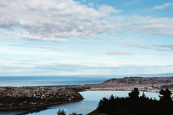 Heritage City and Larnach Castle Van tour with Historian Guide - Lunch at Luna comes with a high view