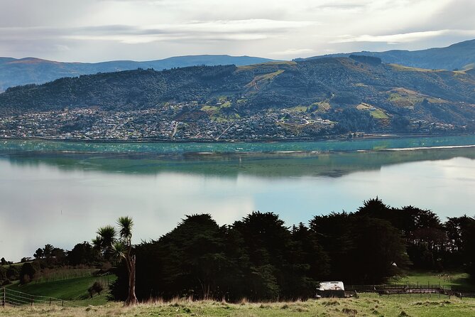 Heritage City and Larnach Castle Van tour with Historian Guide - What the price includes, and what it does not