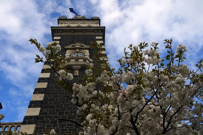 Heritage Dunedin City Walking Guided Tour - Princes Street and the winged monkeys