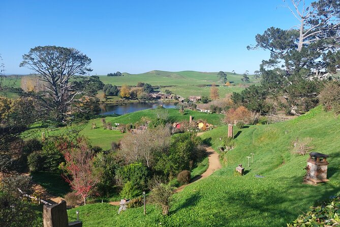 Hobbiton Afternoon Tour in Luxury Minibus from Auckland - Riding south through Waikato