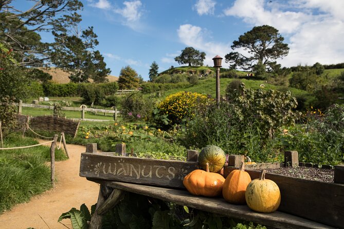 Hobbiton Day Tour from Rotorua with lunch at Hobbiton - The Hobbit Holes and Movie Details