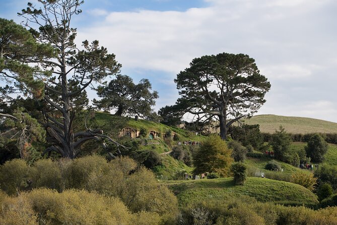 Hobbiton Day Tour from Rotorua with lunch at Hobbiton - Is $189.90 Good Value?