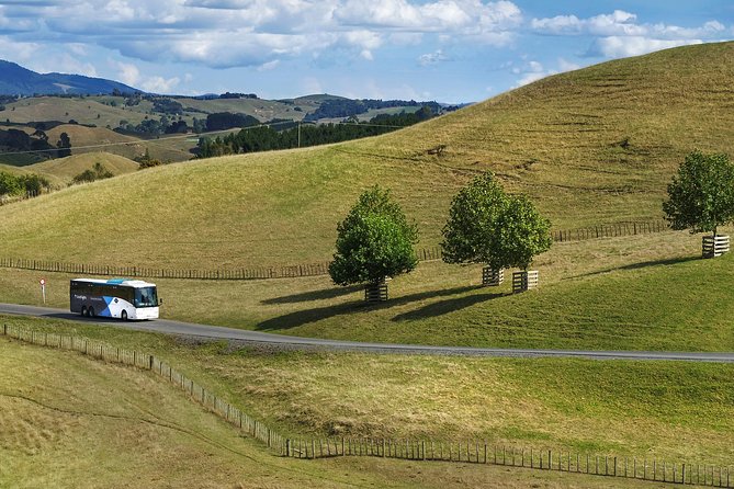 Hobbiton Day Tour from Rotorua with lunch at Hobbiton - Starting in Rotorua at 8:15 am