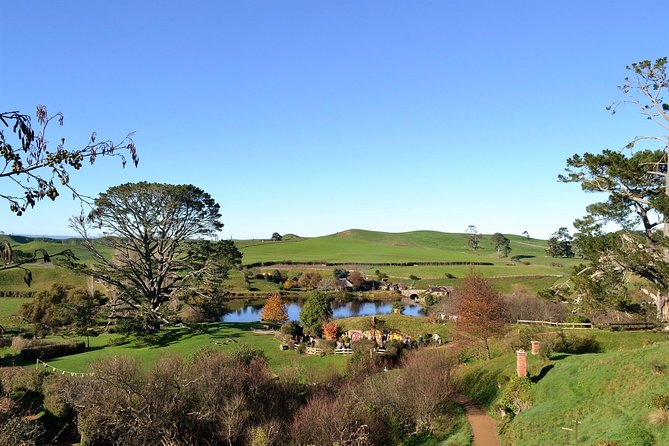 Hobbiton Movie Set Group Tour Early Access (Avoid the crowds!) - The main drawbacks to consider