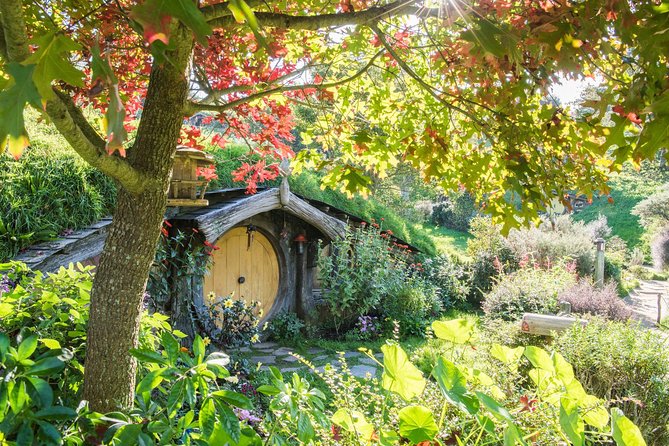 Hobbiton Movie Set Group Tour Early Access (Avoid the crowds!) - Arriving at the Hobbiton Movie Set
