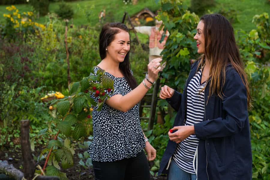Hobbiton Movie Set & Rotorua Premium Day Tour from Auckland - The return drive to Auckland