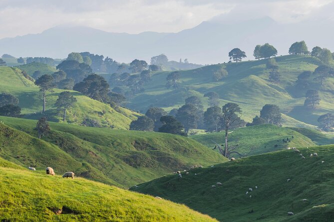 Hobbiton Movie Set Small Tour from Auckland - Arriving at the Hobbiton Movie Set