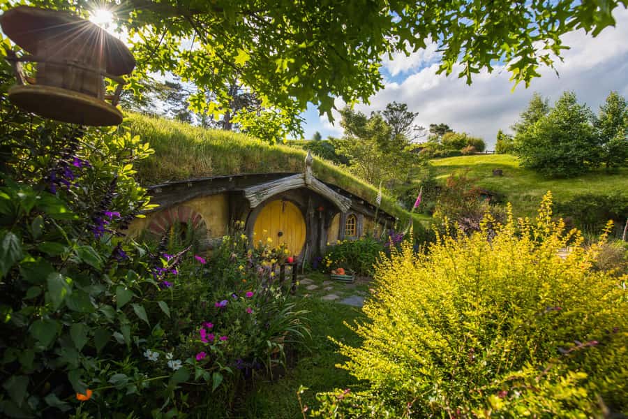 Hobbiton Movie Set Tour to Blue Springs and Waitomo caves - Hobbiton: stepping into the Shire