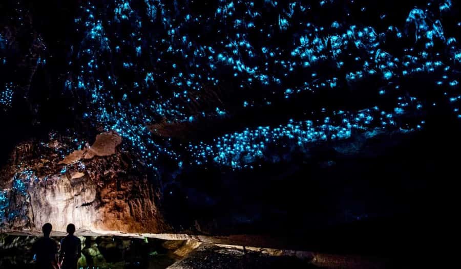 Hobbiton Movie Set Tour to Blue Springs and Waitomo caves - Transport, group size, and guide style