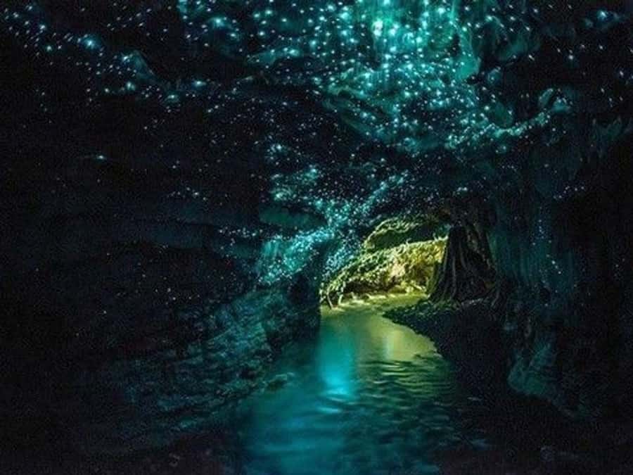 Hobbiton Movie Set Tour to Blue Springs and Waitomo caves - Who should book this tour?
