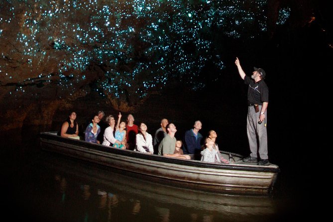 Hobbiton & Waitomo Caves Exclusive Luxury Day Tour From Auckland - Key points to know before booking