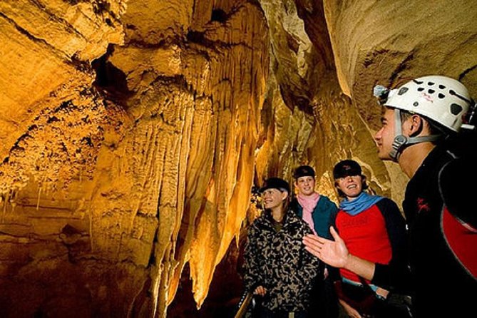 Hobbiton & Waitomo Caves Exclusive Luxury Day Tour From Auckland - Transport, timing, and the private format