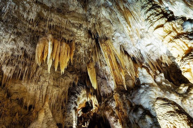 Hobbiton & Waitomo Caves Small Group Tour from Auckland inc Lunch - The return north and the value of a guided ride