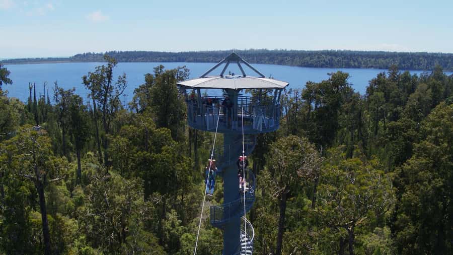 Hokitika: West Coast Tree Top Tower Zip Line and Walk - Starting at the West Coast Tree Top Visitor Center