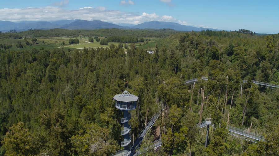 Hokitika: West Coast Tree Top Tower Zip Line and Walk - What the $71 price really covers