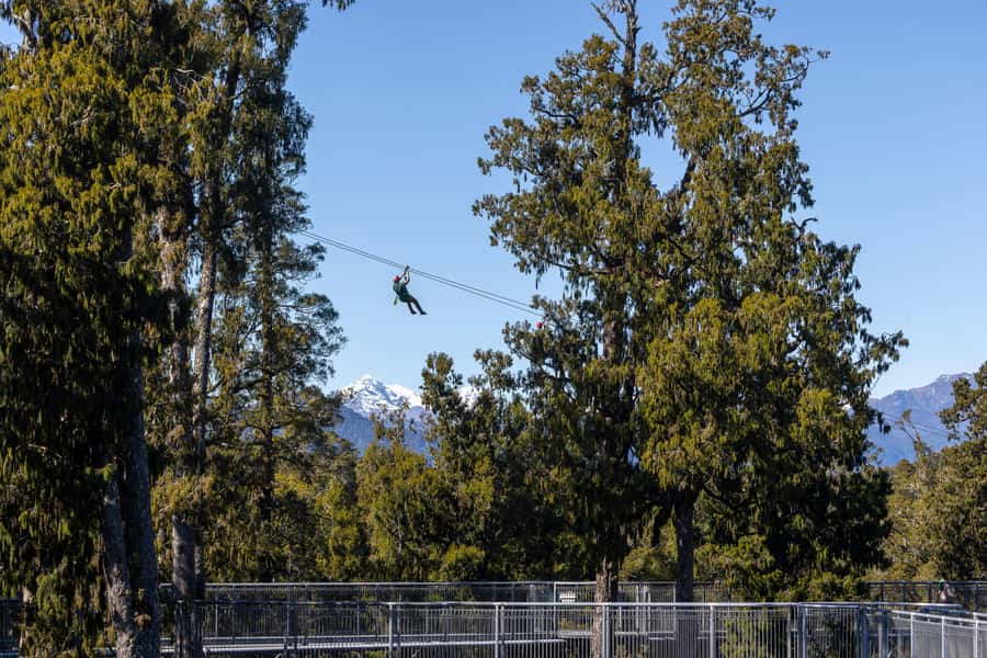 Hokitika: West Coast Treetop Walkway Entrance Ticket - Key Points Before You Go