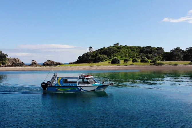 Hole in the Rock Cruise & Island Stopover (Half Day) - Motukokako Island and the famous Hole in the Rock