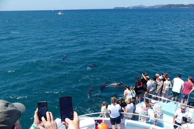 Hole in the Rock Scenic Cruise including Dolphins and Island stop - Why this Bay of Islands cruise is worth your time