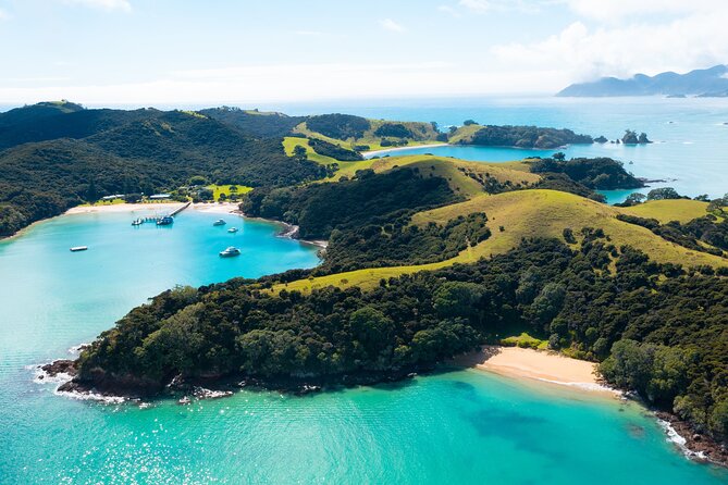 Hole in the Rock Scenic Cruise including Dolphins and Island stop - Is $105.50 good value?