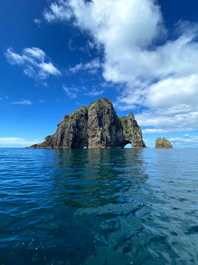 Hole in the Rock Tour & Bay of Islands Cruise - Why the Bay of Islands Works So Well by Boat