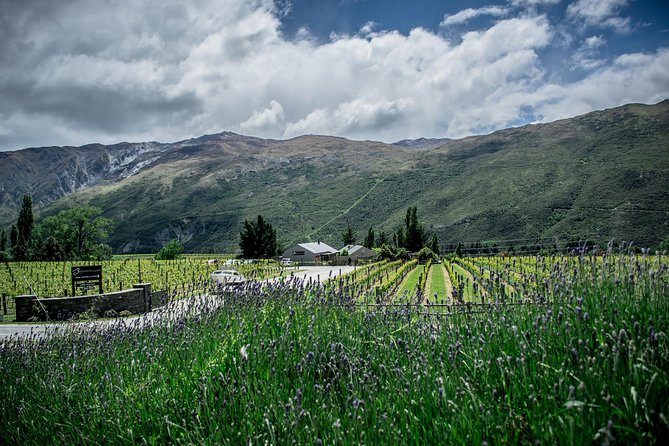 Hop on Hop off Wine Tours Queenstown - Start in Queenstown with adventure nearby