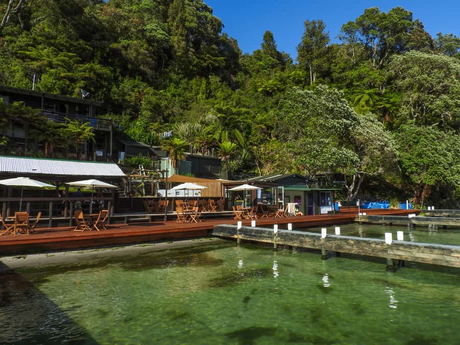 Hot Pools Kayak & Evening Barbecue - Soaking at Manupirua Springs