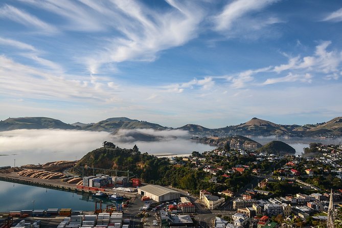 Iconic Shore Excursion: Dunedin City Highlights Tour - Why this Dunedin tour works well from a cruise ship