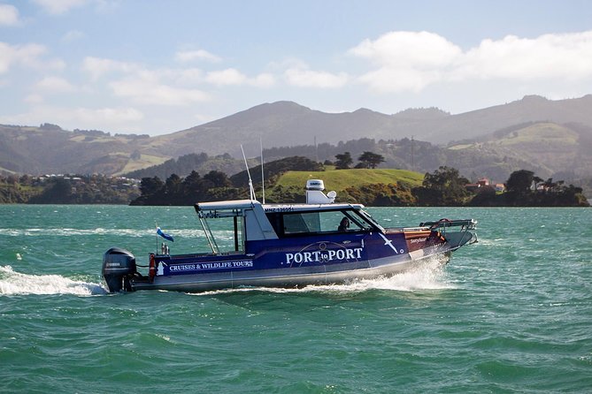Iconic Wildlife Tour with Yellow Eyed Penguins & Royal Albatross - Four hours across the peninsula, not just one reserve