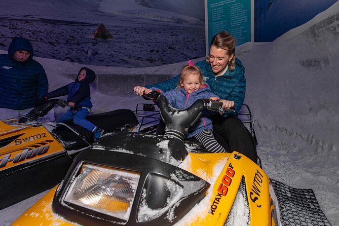 International Antarctic Centre General Admission Ticket - Little blue penguins in a Christchurch setting