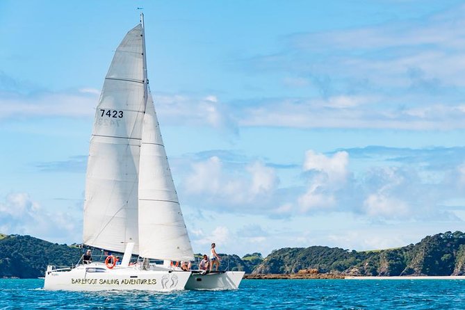 Island Hopper Day Cruise - sailing to wildlife sanctuary island - 6 hr cruise - Key Points Before You Book