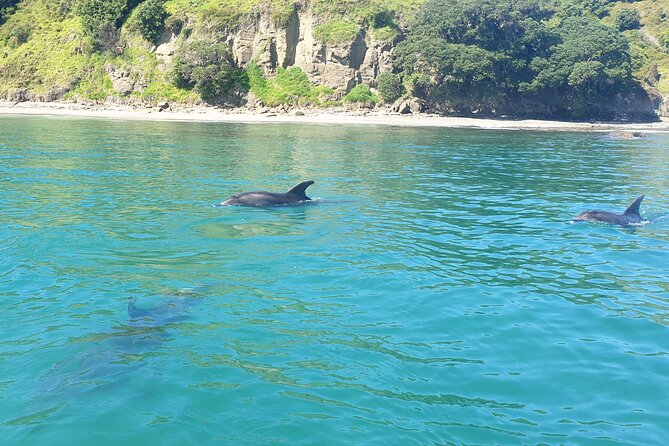 Jet Ski Hire Auckland - Experience the Fun with the Best Operator - Exploring Wenderholm, Kawau Island, and the gulf