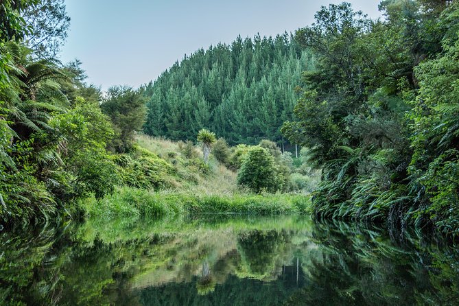 Kahukiwi Experiences Luxury 4WD 3hour Guided Maori Tour - Weather, scheduling, and one important caution
