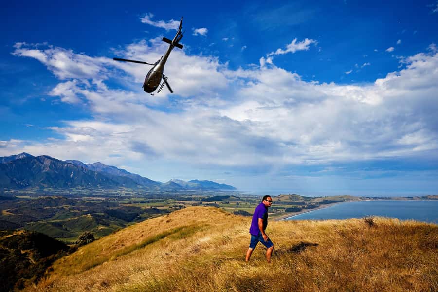 Kaikōura: 45-Minute Whale Watching Helicopter Tour - Is $493 good value?