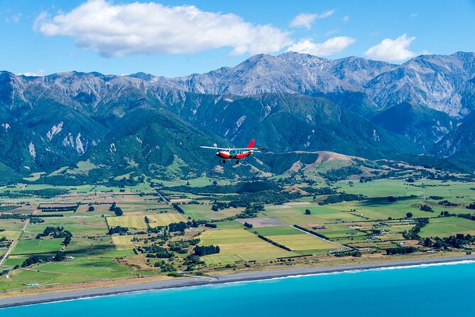 Kaikoura: Coastal and Alpine Scenic Airplane Flight - Why Seeing Kaikoura From the Air Makes Sense