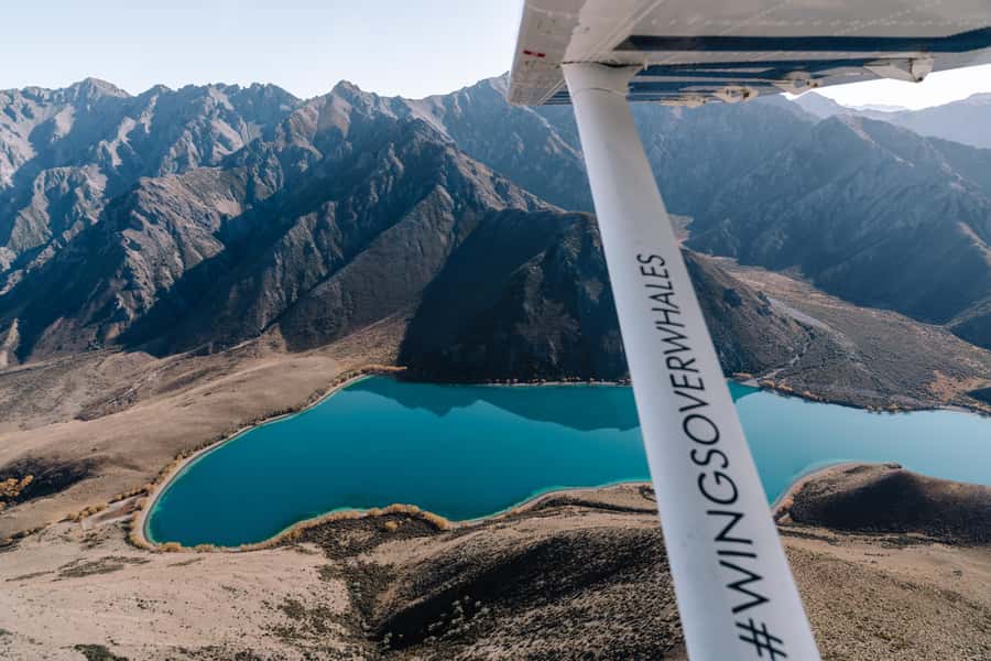 Kaikoura: Extended Flight Whale Watching & Mountain Tour - Why Kaikōura Works So Well From the Air