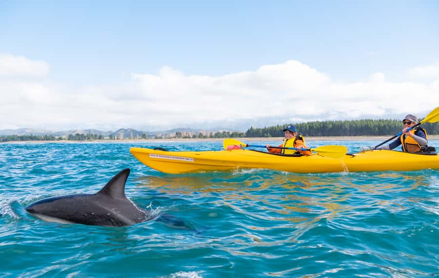 Kaikoura: Guided Family Kayaking Adventure - Key points at a glance