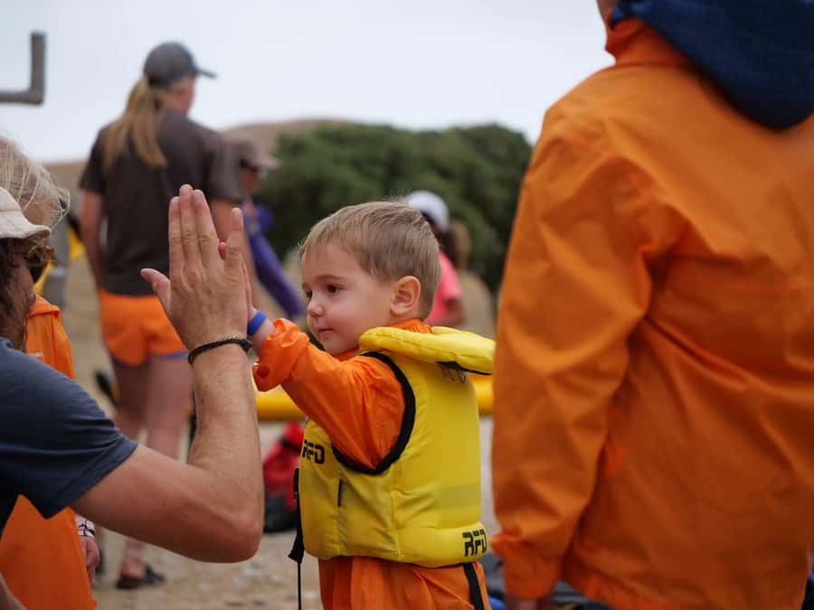 Kaikoura: Guided Family Kayaking Adventure - Paddling along Kaikoura’s rocky coast