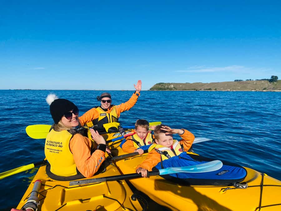 Kaikoura: Guided Family Kayaking Adventure - What three hours really gets you for $95