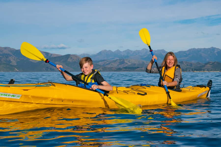 Kaikoura: Guided Family Kayaking Adventure - Choosing the best departure time