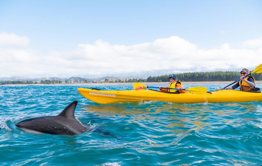 Kaikoura: Guided Family Kayaking Adventure - Who should book this Kaikoura kayak trip?