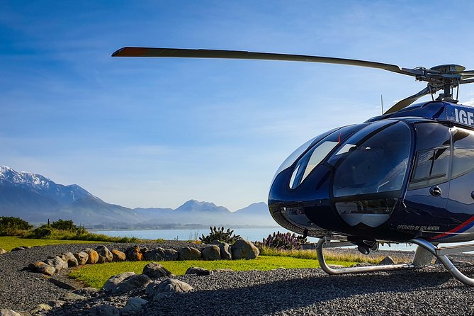 Kaikoura Helicopters Classic Whale Watch - Humpbacks, Dolphins, Seals, and Orcas