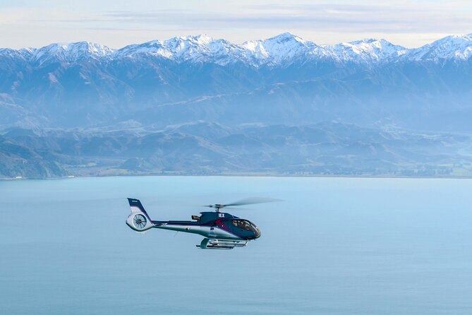 Kaikoura Helicopters Extended Whale Watch - Why baleen whales are worth the extra time