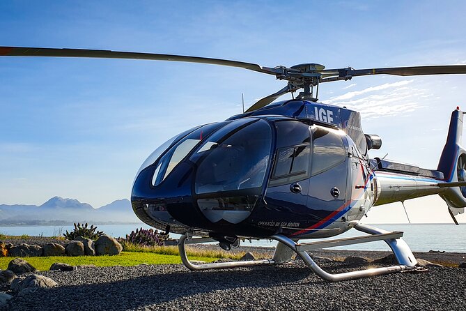 Kaikoura Helicopters Extended Whale Watch - What you can realistically see from the air