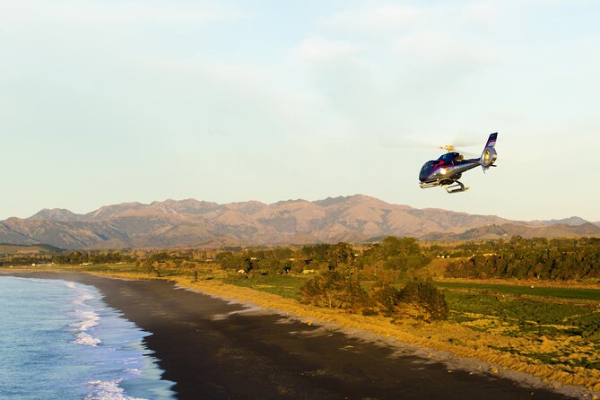 Kaikoura Helicopters Extended Whale Watch - Who will enjoy this flight most