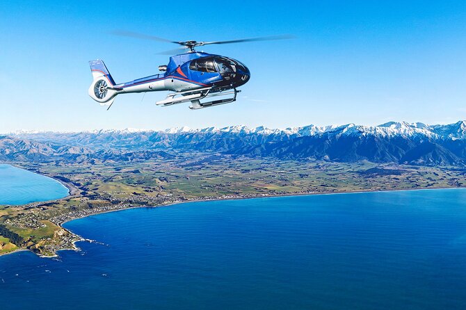 Kaikoura Helicopters Top n Tail Whale Watch flight - Who should book the Top ’n’ Tail flight