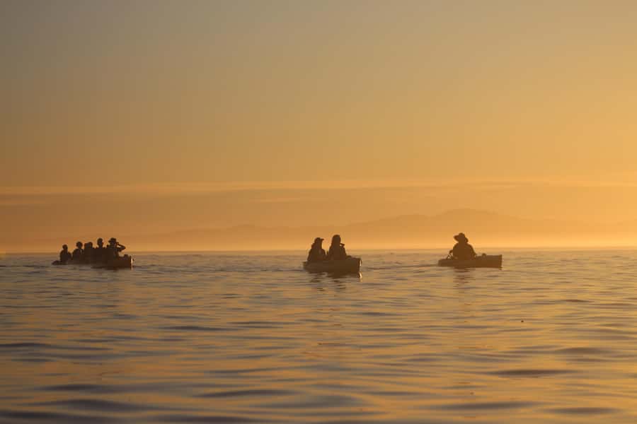 Kaikōura: Kayak Sunset Tour with Seal Sightings - From Beach Road to the peninsula