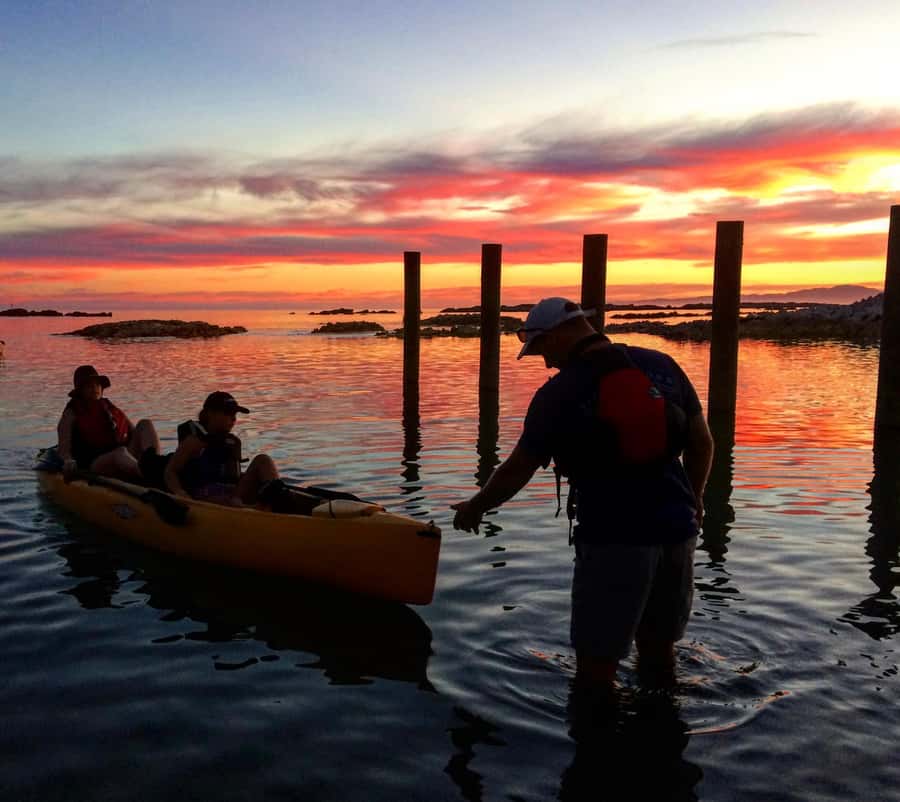 Kaikōura: Kayak Sunset Tour with Seal Sightings - The stories behind the seals and coast