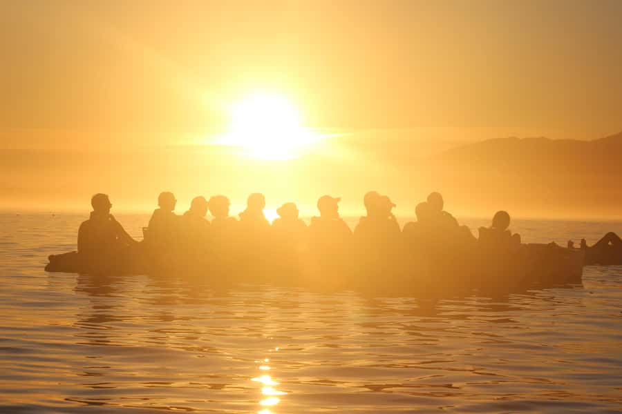 Kaikōura: Kayak Sunset Tour with Seal Sightings - Pedal kayaks make wildlife watching easier