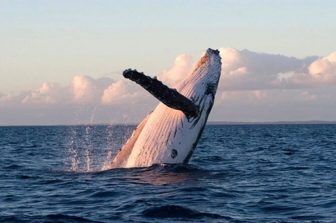 Kaikoura Private Whale Watching Day Trip from Christchurch - Setting off from the Novotel at 7:30 am