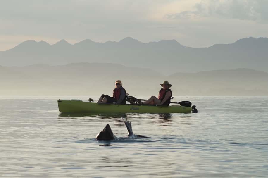 Kaikoura: Seal-Watching Pedal Kayak Tour - A quick safety briefing before Kaikoura Peninsula